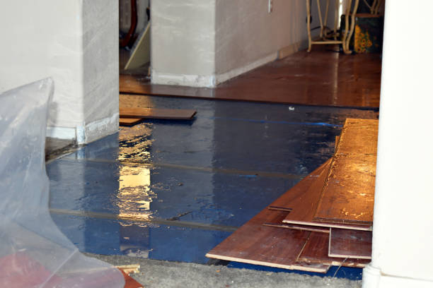 Professional Flood Cleanup technician working in Mehama, OR